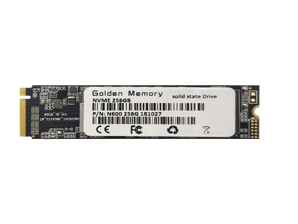 GOLDEN MEMORY 256GB M.2