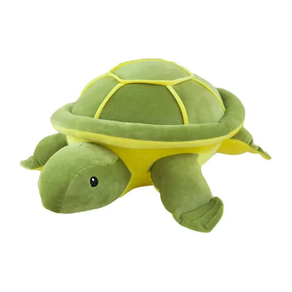 Tortoise Teddy